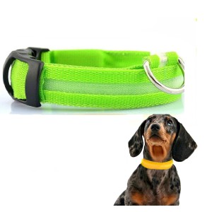 COLLAR MASCOTAS LED VERDE TALLA L BIWOND
