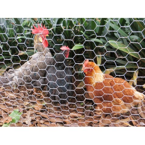 MALLA GALLINERO HEXAGONAL 19X0.7MM...