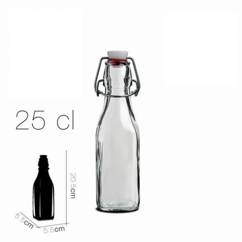 BOTELLA CIERRE PRESION 250ML SWING...