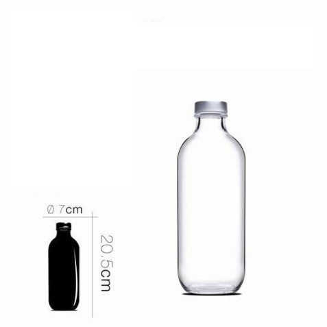 BOTELLA DE CRISTAL ICONIC 0.5 LITROS...