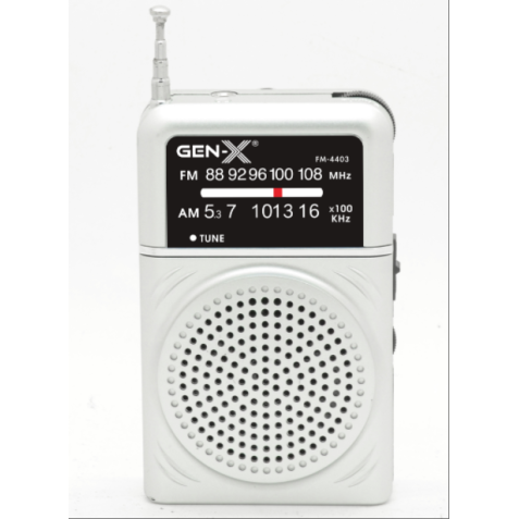 RADIO PORTATIL AM/FM ANALOGICA GRIS...