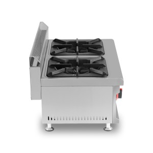 COCINA A GAS PROFESIONAL 2 FUEGOS...