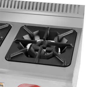COCINA A GAS PROFESIONAL 2 FUEGOS...