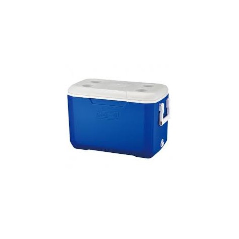 NEVERA RIGIDA 48 LITROS POLY - LITE...