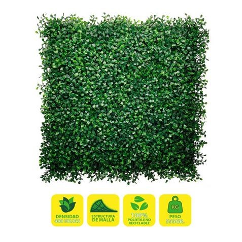 JARDIN VERTICAL 50X50CM SERIE...