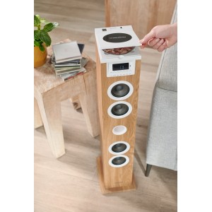 TORRE DE SONIDO 30W | FM | USB |...