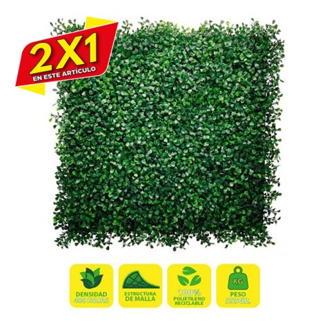 JARDIN VERTICAL 50X50CM SERIE...
