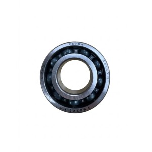 RODAMIENTO PARA GENERADOR BL0462 BLIM